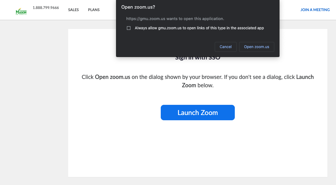 open Zoom meetings
