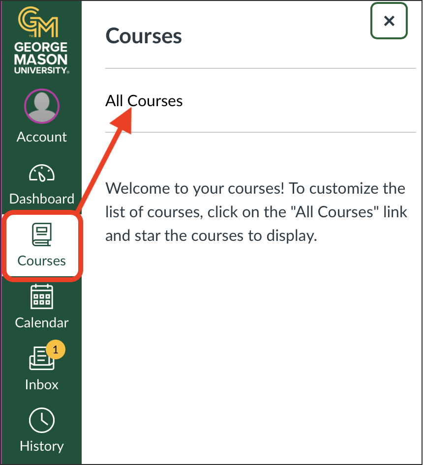 Canvas Courses
